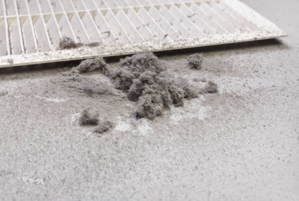 Best Ductwork Cleaning Services  in Opelousas, LA