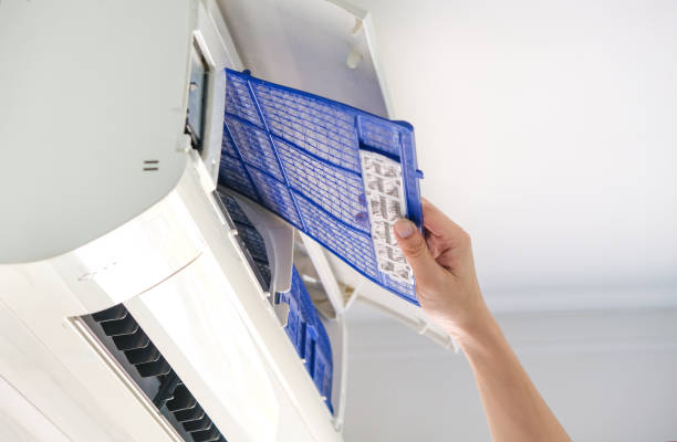 Best Home Air Vent Cleaning  in Opelousas, LA